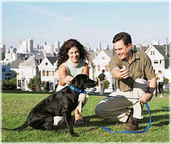 Scalzo Property Management